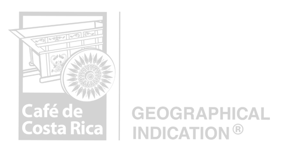 Certificación 1
