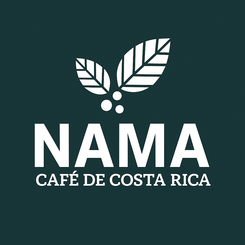 Certificación 5